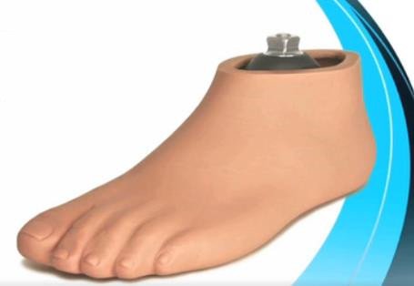 微型切片技術(shù)碳纖儲(chǔ)能假腳